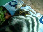 S-DSCF0046.jpg