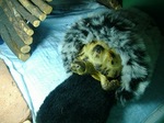 S-DSCF0051.jpg