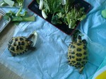 S-DSCF0056.jpg