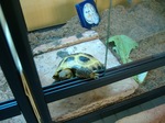 S-DSCF0108.jpg