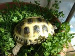 S-DSCF0143.jpg