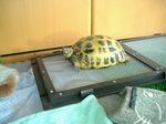 S-DSCF0212.jpg