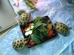 S-DSCF0245.jpg