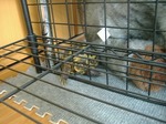 S-DSCF0246.jpg
