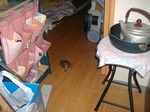 S-DSCF0338.jpg