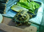 S-DSCF0345.jpg