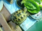 S-DSCF0357.jpg
