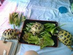 S-DSCF0378.jpg