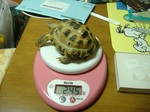S-DSCF0381.jpg