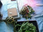 S-DSCF0392.jpg