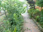 S-DSCF0422.jpg