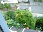 S-DSCF0431.jpg