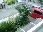 S-DSCF0432.jpg