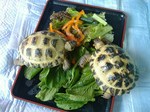 S-DSCF0447.jpg
