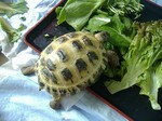 S-DSCF0478.jpg