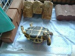 S-DSCF0501.jpg
