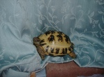S-DSCF0507.jpg