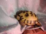 S-DSCF0514.jpg