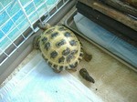 S-DSCF0527.jpg