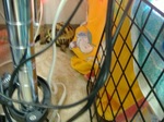 S-DSCF0531.jpg
