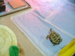 S-DSCF0536.jpg