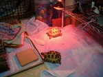 S-DSCF0553.jpg