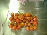 S-DSCF0572.jpg