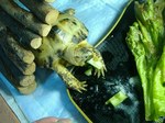 S-DSCF0607.jpg