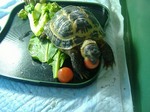 S-DSCF0625.jpg