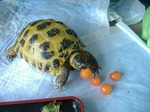 S-DSCF0632.jpg