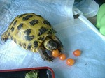 S-DSCF0633.jpg
