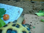 S-DSCF0641.jpg