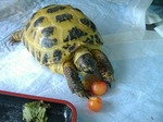 S-DSCF0645.jpg