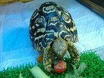 S-DSCF0651.jpg