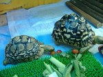 S-DSCF0655.jpg