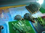 S-DSCF0656.jpg