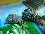 S-DSCF0657.jpg