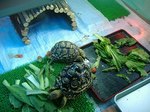 S-DSCF0658.jpg