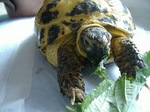S-DSCF0677.jpg
