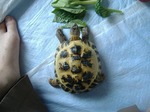 S-DSCF0680.jpg
