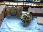 S-DSCF0688.jpg