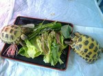 S-DSCF0693.jpg