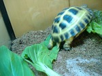 S-DSCF0721.jpg