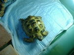 S-DSCF0740.jpg