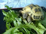 S-DSCF0755.jpg