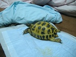 S-DSCF0765.jpg