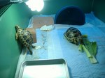 S-DSCF0784.jpg