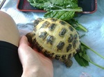 S-DSCF0791.jpg