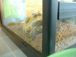 S-DSCF0818.jpg