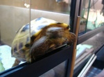 S-DSCF0824.jpg